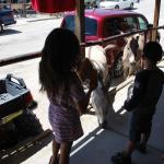 Laughlin_0250 (April 21, 2013)